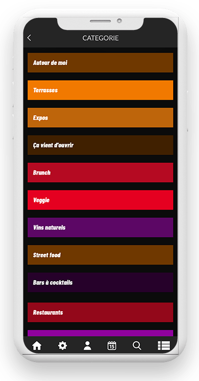Interface listing catégorie de l'application mobile Dojo