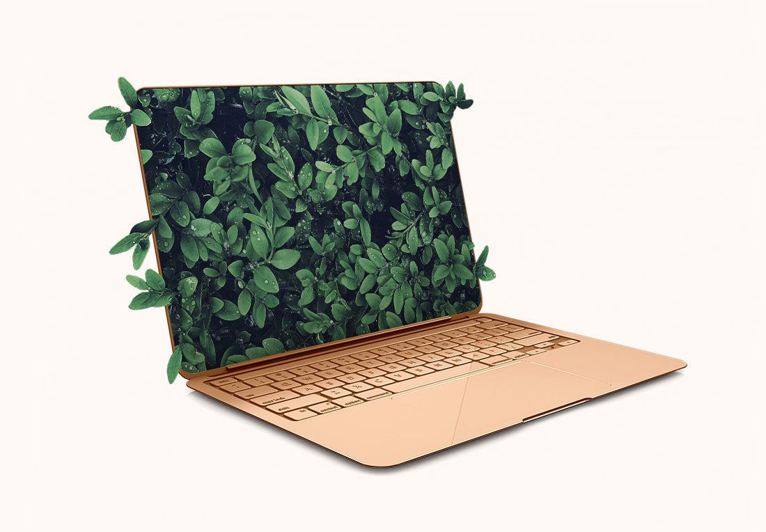 PC portable avec un fond remplit de feuilles