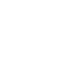Logo simple blanc